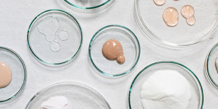 petri dishes with skincare on them