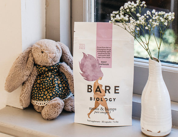 mums & bumps omega 3 capsules for pregnancy capsules on a window sill with a teddy and vase